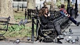 A homeless man sits alone in a park with birds.